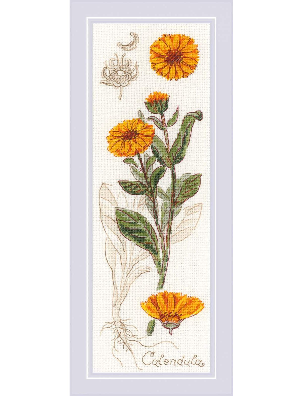 картинка RIOLIS 1798 ''Календула'', 10*30 см от магазина Mokos